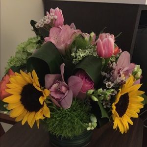 Meet your Posher, Leigh ann